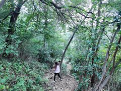 -紫金山山顶公园