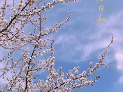-北京凤凰岭