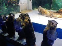 -华夏文旅海洋公园