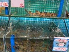 水产区-琼大师东方烤乳猪(亚特兰蒂斯店)