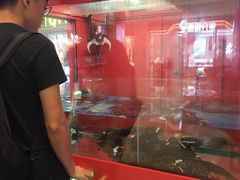 -超级物种·波龙工坊(国贸店)