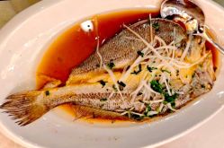 -新锦江大酒店·宴会厅·婚宴