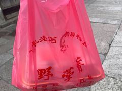 -野荸荠