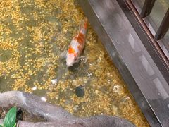 -顺德渔村·岭南一号