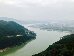 -铁山坪森林公园