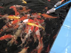 -兴芮温泉度假区