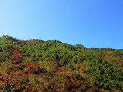 -龙道沟景区