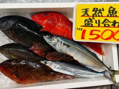 -南纪白浜Toretore市场