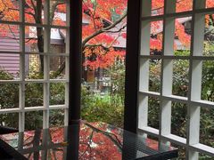 -中国茶叶博物馆(双峰馆区)