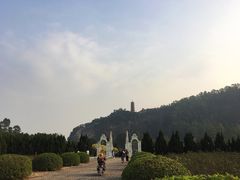 -南沙蒲洲花园