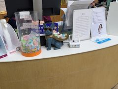 -美联众合动物医院·24h转诊中心