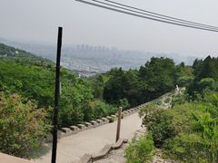 -府君山公园