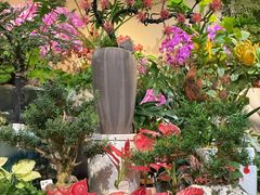 -溪岸路花鸟市场