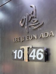 -韩国李知恩形象设计