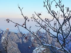 -崂山巨峰游览区