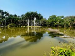 -中国科学院西双版纳热带植物园