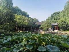 -秋霞圃