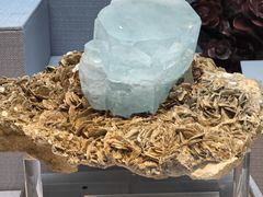 -湖南省地质博物馆