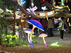 -台山颐和温泉城