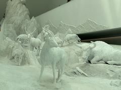 -中国湿地博物馆