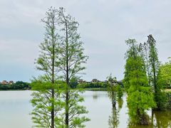 -美的鹭湖森林度假区