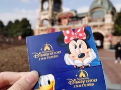 -上海迪士尼度假区