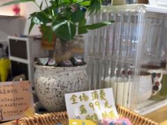 -猫的天空之城概念书店(丽江古城饮玉巷店)