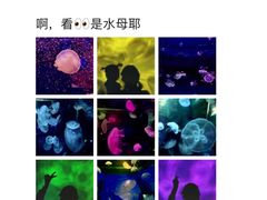 -金砂公园