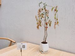 -禾康家蛋糕店
