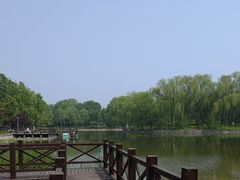 -望湖公园
