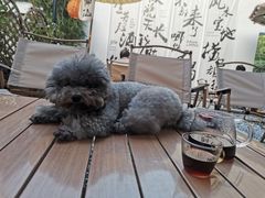 -EVA咖啡小酒馆