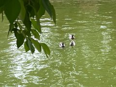 -团结湖公园