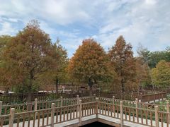 -五缘湾湿地公园