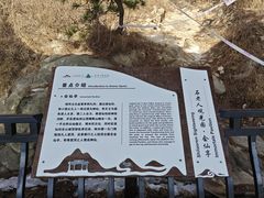 -石老人观光园