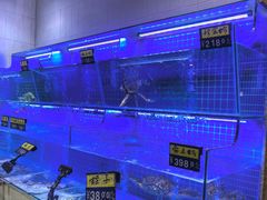水产区-荔粥记潮汕砂锅粥(太湖路店)