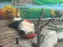 -青藏高原野生动物园