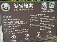 -都江堰中华大熊猫苑