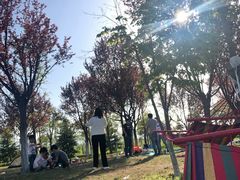 -洨河生态公园