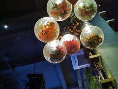 -胡桃里音乐餐厅(陶溪川店)(川湘赣菜·世界百大酒庄直供红酒·音乐表演)