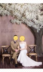 点击看大图 -金夫人婚纱摄影(华南店)