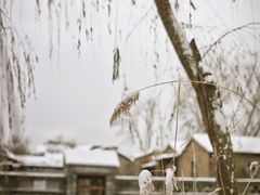 -三里河公园
