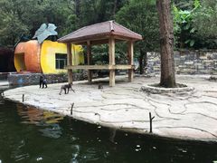 -贵州森林野生动物园