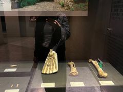 -北京周口店北京人遗址博物馆
