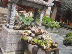 -寂照庵