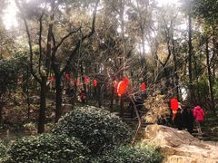 -云龙山
