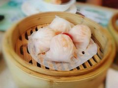 金牌虾饺皇-点都德(北京路贰店)
