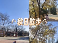 -乌素图国家森林公园