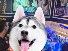 -上海星秀麦量贩KTV(张江商业广场店)