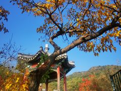 -香山公园