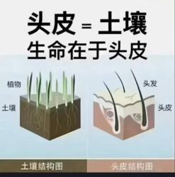 -Bollins波林丝•专研护发中心